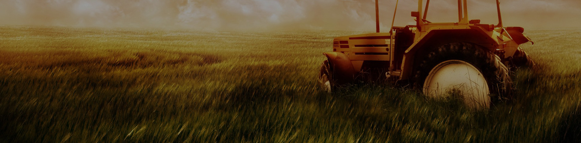 Banner2